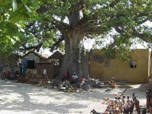 u Senegal arbre a palabre
